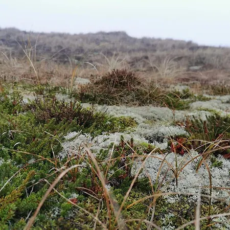 6 Person In Hemmet-by Traum Dom wakacyjny Hemmet