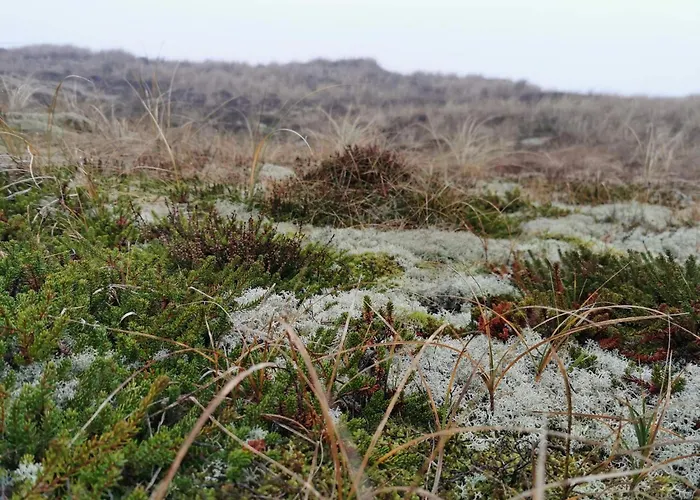 6 Person In Hemmet-by Traum Дом отдыха Хеммет